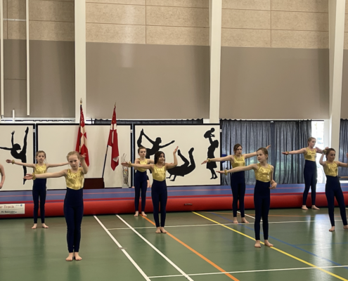 Skærmbillede 2025-04-01 kl. 20.40.57